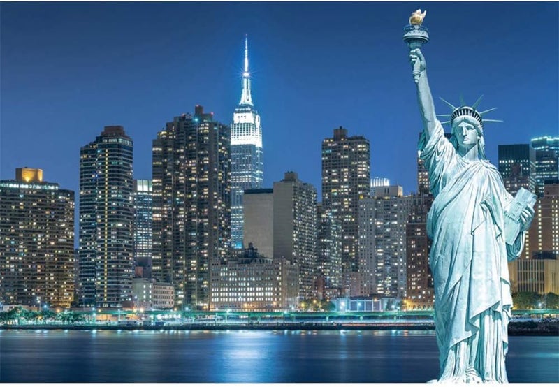 Renaiss 8x6ft Statue of Liberty Backdrop New York City Night View Manhattan Skyline NYC Morden Urban Cityscape Light Photography Background for Holiday Travel Landmark Banner Photo Studio Props - Image 4